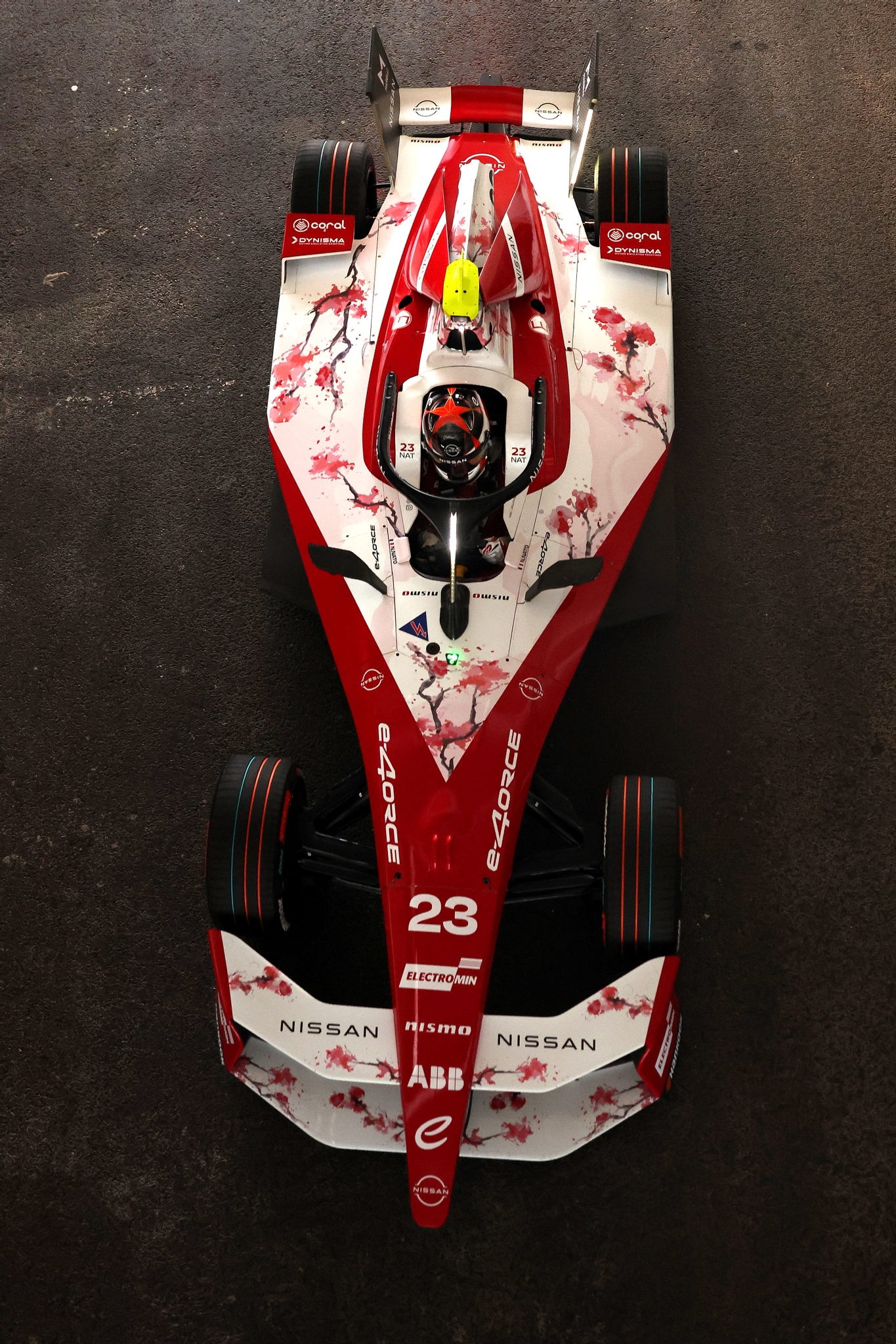 Sao Paulo E-Prix R01 Race